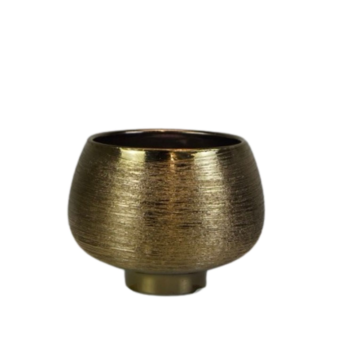 Сирень обыкновенная Мисс Элен Виллмот